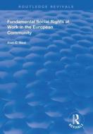 Fundamental Social Rights At Work In The European Community di Alan C. Neal edito da Taylor & Francis Ltd