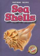 Sea Shells di Shari Skeie edito da BELLWETHER MEDIA