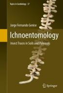 Ichnoentomology di Jorge Fernando Genise edito da Springer-Verlag GmbH