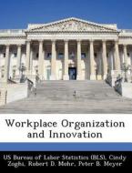 Workplace Organization And Innovation di Cindy Zoghi, Robert D Mohr edito da Bibliogov