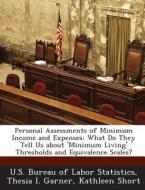 Personal Assessments Of Minimum Income And Expenses di Thesia I Garner, Kathleen Short edito da Bibliogov