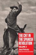 The Cnt in the Spanish Revolution: Volume 3 di Jose Peirats edito da PM PR