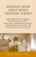 Healing Your Grief When Disaster Strikes: 100 Practical Ideas for Coping After a Tornado, Hurricane, Flood, Earthquake,  di Alan D. Wolfelt edito da COMPANION PR (CO)