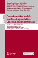 Deep Generative Models, and Data Augmentation, Labelling, and Imperfections edito da Springer International Publishing
