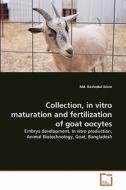 Collection, in vitro maturation and fertilization of goat oocytes di Md. Rashedul Islam edito da VDM Verlag