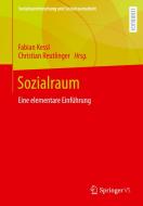 Sozialraum edito da Springer-Verlag GmbH