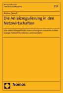 Die Anreizregulierung in den Netzwirtschaften di Andrea Berndt edito da Nomos Verlagsges.MBH + Co