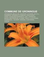 Commune De Groningue: Vlagtwedde, Delfzi di Livres Groupe edito da Books LLC, Wiki Series