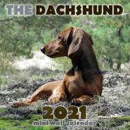 The Dachshund 2021 Mini Wall Calendar di Over the Wall Dogs edito da OVER THE WALL DOGS