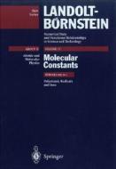 Polyatomic Radicals And Ions di J. M. Brown edito da Springer-verlag Berlin And Heidelberg Gmbh & Co. Kg