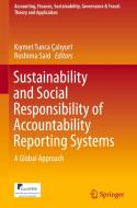 Sustainability and Social Responsibility of Accountability Reporting Systems di Kiymet Tunca ¿Liyurt edito da Springer