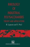 Rheology of Industrial Polysaccharides: Theory and Applications (Ch) di Romano Lapasin, Sabrina Pricl, R. Lapasin edito da Aspen Publishers