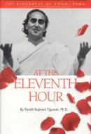 AT THE ELEVENTH HOUR di Pandit Rajmani Tigunait edito da TradeSelect