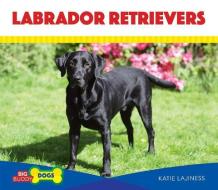 Labrador Retrievers di Katie Lajiness edito da BIG BUDDY BOOKS