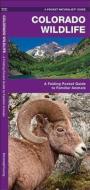 Colorado Wildlife: An Introduction to Familiar Species di James Kavanagh edito da Waterford Press