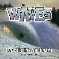 Waves: From Surfing to Tsunami di Drew Kampion edito da Gibbs Smith Publishers