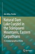 Natural Dam Lake Cuejdel In The Stanisoarei Mountains, Eastern Carpathians di Alin Mihu-Pintilie edito da Springer International Publishing Ag
