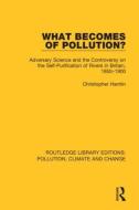 What Becomes Of Pollution? di Christopher Hamlin edito da Taylor & Francis Ltd