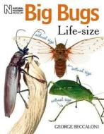 Big Bugs Life-Size di George Beccaloni edito da The Natural History Museum