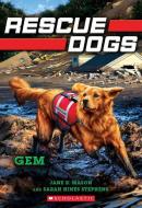 Gem (Rescue Dogs, #4) di Jane B. Mason, Sarah Hines-Stephens edito da SCHOLASTIC
