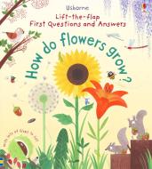 First Lift-the-flap First Q&a di Katie Daynes edito da Usborne Publishing Ltd