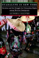 Guadalupe in New York di Alyshia Galvez edito da New York University Press