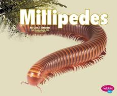 Millipedes di Nikki Bruno Clapper edito da CAPSTONE PR