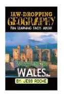 Jaw-Dropping Geography: Fun Learning Facts about Wonderful Wales: Illustrated Fun Learning for Kids di Jess Roche edito da Createspace