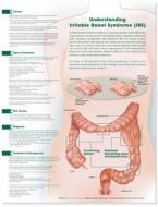Understanding Irritable Bowel Syndrome Anatomical Chart edito da Lippincott Williams And Wilkins