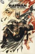 Batman di Paul Dini, Dustin Nguyen edito da Titan Books Ltd