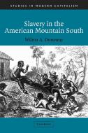 Slavery in the American Mountain South di Wilma A. Dunaway edito da Cambridge University Press