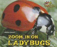 Zoom in on Ladybugs di Melissa Stewart edito da ENSLOW PUBL