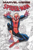Marvel-Verse: Spider-Man di Paul Jenkins, Stan Lee, Steve Ditko edito da MARVEL COMICS GROUP