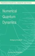 Numerical Quantum Dynamics di W. Schweizer edito da Springer Netherlands