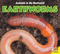 Earthworms di Aaron Carr edito da AV2 BY WEIGL