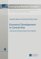Economic Development in Central Asia edito da Lang, Peter GmbH