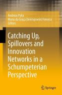 Catching Up, Spillovers and Innovation Networks in a Schumpeterian Perspective edito da Springer Berlin Heidelberg