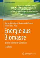 Energie aus Biomasse edito da Springer-Verlag GmbH