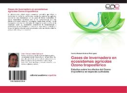 Gases de invernadero en ecosistemas agrícolas Ozono troposférico di Carlos Manuel Andreu Rodríguez edito da EAE