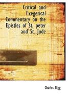 Critical And Exegerical Commentary On The Epistles Of St. Peter And St. Jude di Charles Bigg edito da Bibliolife