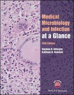 Medical Microbiology And Infection At A Glance di Stephen Gillespie, Kathleen Bamford edito da John Wiley And Sons Ltd
