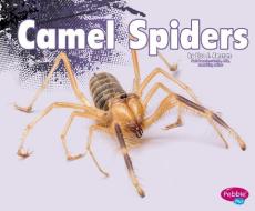 Camel Spiders di Nikki Bruno Clapper edito da CAPSTONE PR
