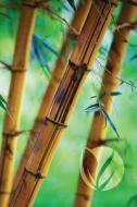 Bamboo Forest Journal: Blank Notebook Diary di N. D. Author Services edito da Createspace Independent Publishing Platform