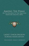 Among the Pimas: Or the Mission to the Pima and Maricopa Indians (1893) di Ladies' Union Mission School Association edito da Kessinger Publishing