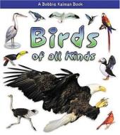 Birds of All Kinds di Rebecca Sjonger, Bobbie Kalman edito da Crabtree Publishing Company