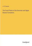 The Fossil Plants of the Devonian and Upper Silurian Formations di J. W. Dawson edito da Anatiposi Verlag
