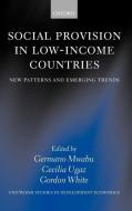Social Provision in Low-Income Countries: New Patterns and Emerging Trends di World Institute for Development Economic edito da OXFORD UNIV PR