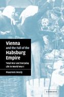 Vienna and the Fall of the Habsburg Empire di Maureen Healy edito da Cambridge University Press