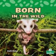 Born in the Wild di Kelli Hicks edito da CRABTREE SEEDLINGS