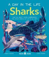Sharks (a Day in the Life): What Do Great Whites, Hammerheads, and Whale Sharks Get Up to All Day? di Neon Squid, Carlee Jackson edito da NEON SQUID US